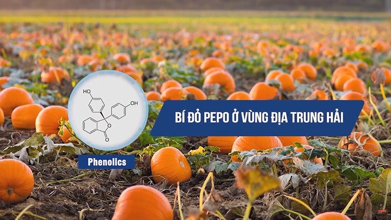 5 món khoái khẩu của nhiều người nhưng “tàn phá” bàng quang – Bạn đã biết chưa? - 4