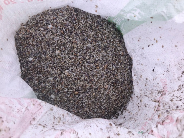 Con dắt biển được thu mua với giá dao động từ 3.500-4.500 đồng/kg.