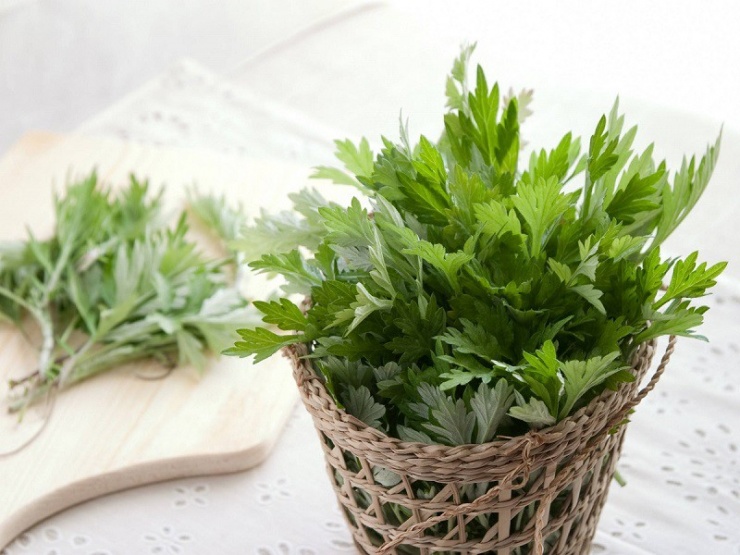 Việt Nam có loại rau là &#39;vua thảo mộc&#39; giúp giảm huyết áp cao, chống oxy hóa cực tốt - 2