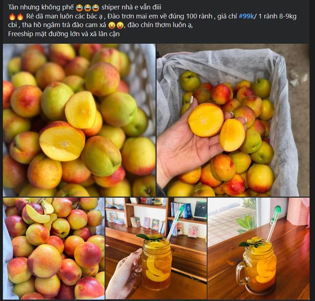 Đào trơn được rao bán trên nhiều hội nhóm, mạng xã hội với mức giá siêu rẻ.
