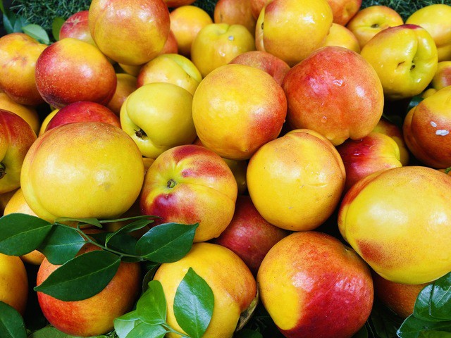 Người tiêu dùng có thể dễ&nbsp;dàng mua đào ở các chợ dân sinh, siêu thị và chợ mạng.