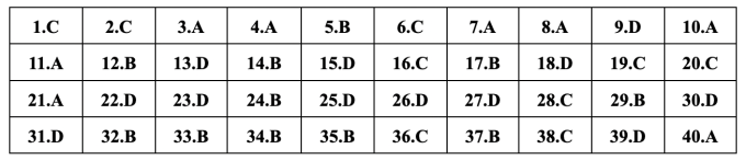 Gợi ý đáp án 24 mã đề Tiếng Anh thi vào lớp 10 ở Hà Nội - 2