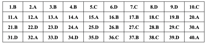 Gợi ý đáp án 24 mã đề Tiếng Anh thi vào lớp 10 ở Hà Nội - 24