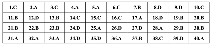 Gợi ý đáp án 24 mã đề Tiếng Anh thi vào lớp 10 ở Hà Nội - 16