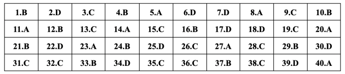 Gợi ý đáp án 24 mã đề Tiếng Anh thi vào lớp 10 ở Hà Nội - 13