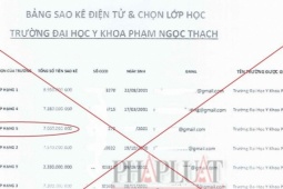1 sinh viên đại học ở TP.HCM mất sạch 7 tỉ đồng vì sao kê tài khoản theo văn bản giả