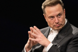 Nga gợi ý về khả năng "tị nạn chính trị" cho tỉ phú Elon Musk