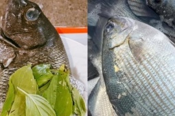 Đặc sản Lý Sơn có tên đáng sợ, thoắt ẩn thoắt hiện, có tiền cũng khó mua