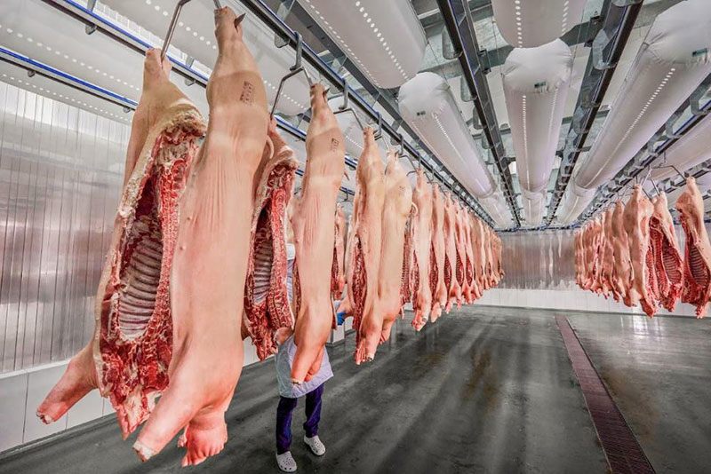 Quy trình sản xuất Thịt MEATDeli với công nghệ ủ mát chuẩn Âu