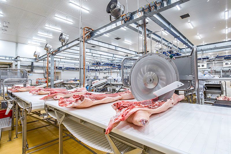 Phân mảnh và chia tảng bằng dây chuyền Marel nhập khẩu từ Hà Lan