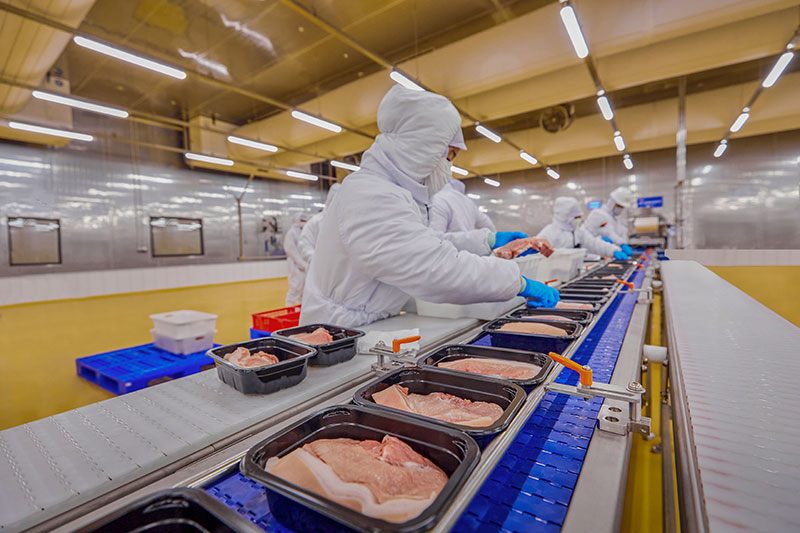 Dây chuyền đóng gói tự động thịt ủ mát MEATDeli