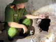 Hai phạm nhân đục tường trốn trại giam Thanh Xuân