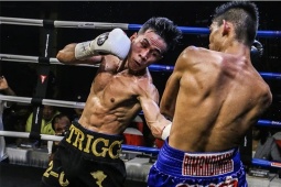 Trận chiến boxing nghẹt thở ở Tokyo, Trần Văn Thảo và cú knock-out hụt trước Tsuboi