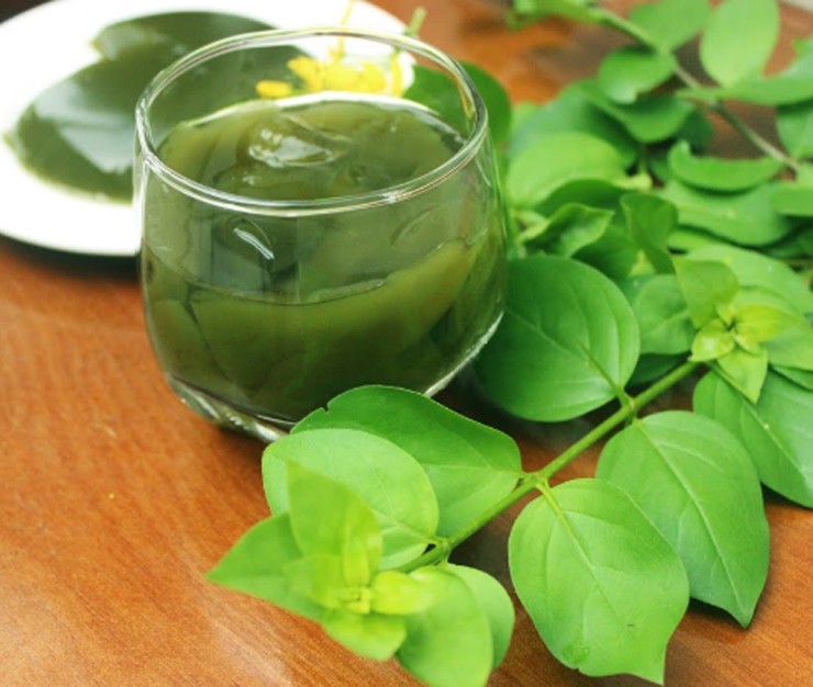 Trên thị trường, lá găng có 3 loại: lá tươi, lá khô và bột găng. Nhờ vậy, người tiêu dùng có thể thưởng thức món thạch găng quanh năm mà không lo phụ thuộc mùa vụ.
