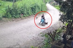Clip: Vào cua bất cẩn, thanh niên đâm trúng gà rồi ngã sõng soài giữa đường