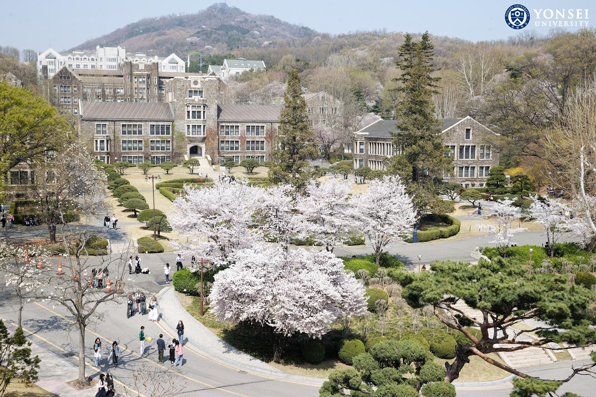 Khuôn viên Trường đại học Yonsei Hàn Quốc