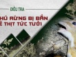Video điều tra: Thú rừng Vườn quốc gia Cát Tiên bị bắn trộm, xẻ thịt