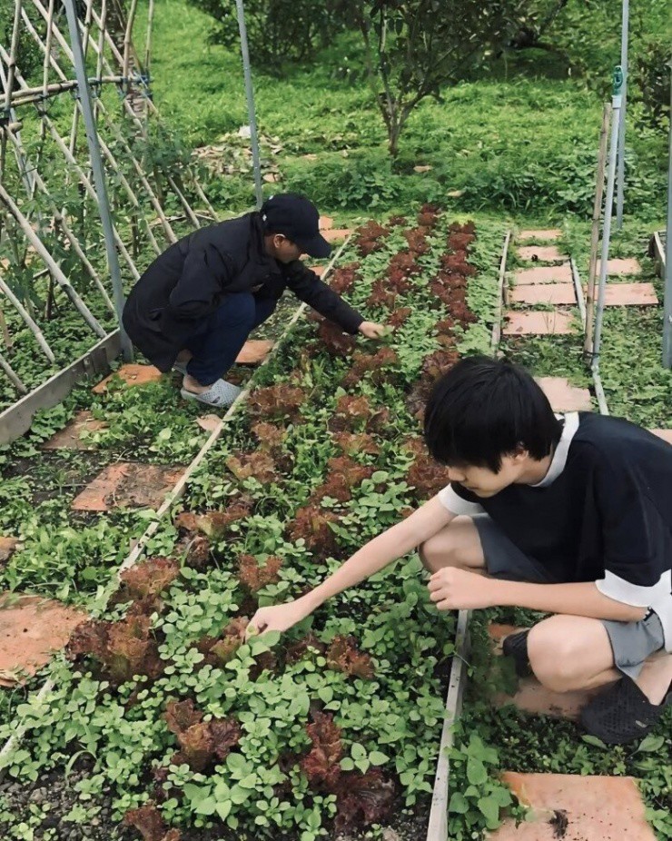 Nam đạo diễn tận tay chỉ dạy quý tử đầu lòng nhổ cỏ, hái rau.