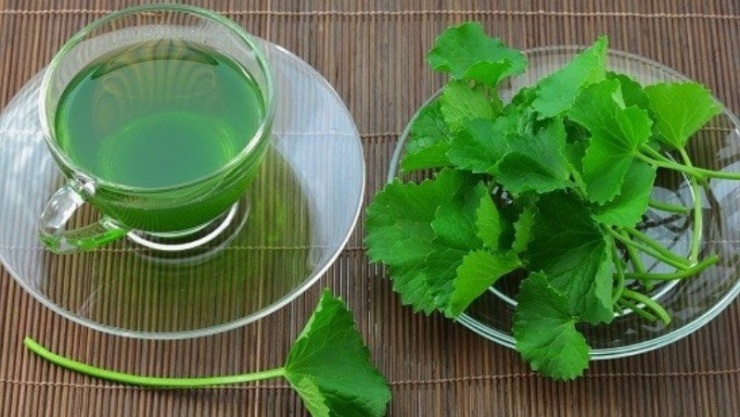 Từ những lá và cọng rau má đem phơi khô, rồi nấu lên cùng nước, thưởng thức ngay khi còn nóng thì bạn sẽ cảm nhận ngay hương vị tươi mát mà nó đem lại. Món trà này cực xuất sắc trong việc giúp đỡ chúng ta thanh nhiệt cơ thể, cho nên 1 thức uống "diệu kỳ" như thế bạn đừng nên bỏ qua nhé!