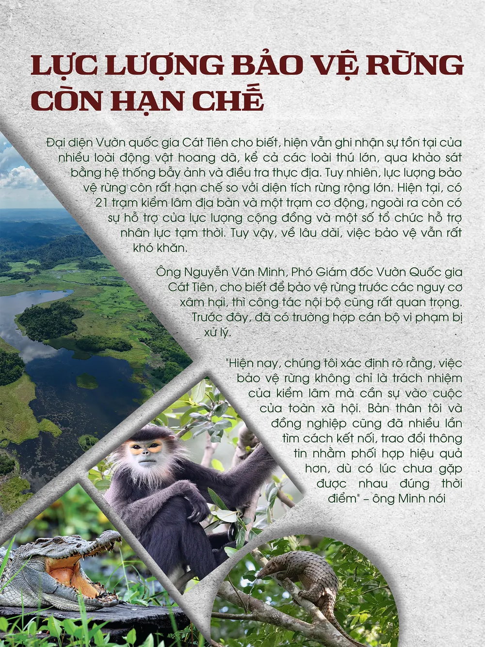 Điều tra: Cận cảnh động vật quý, hiếm ở Vườn quốc gia Cát Tiên bị bắn, bẫy - 10