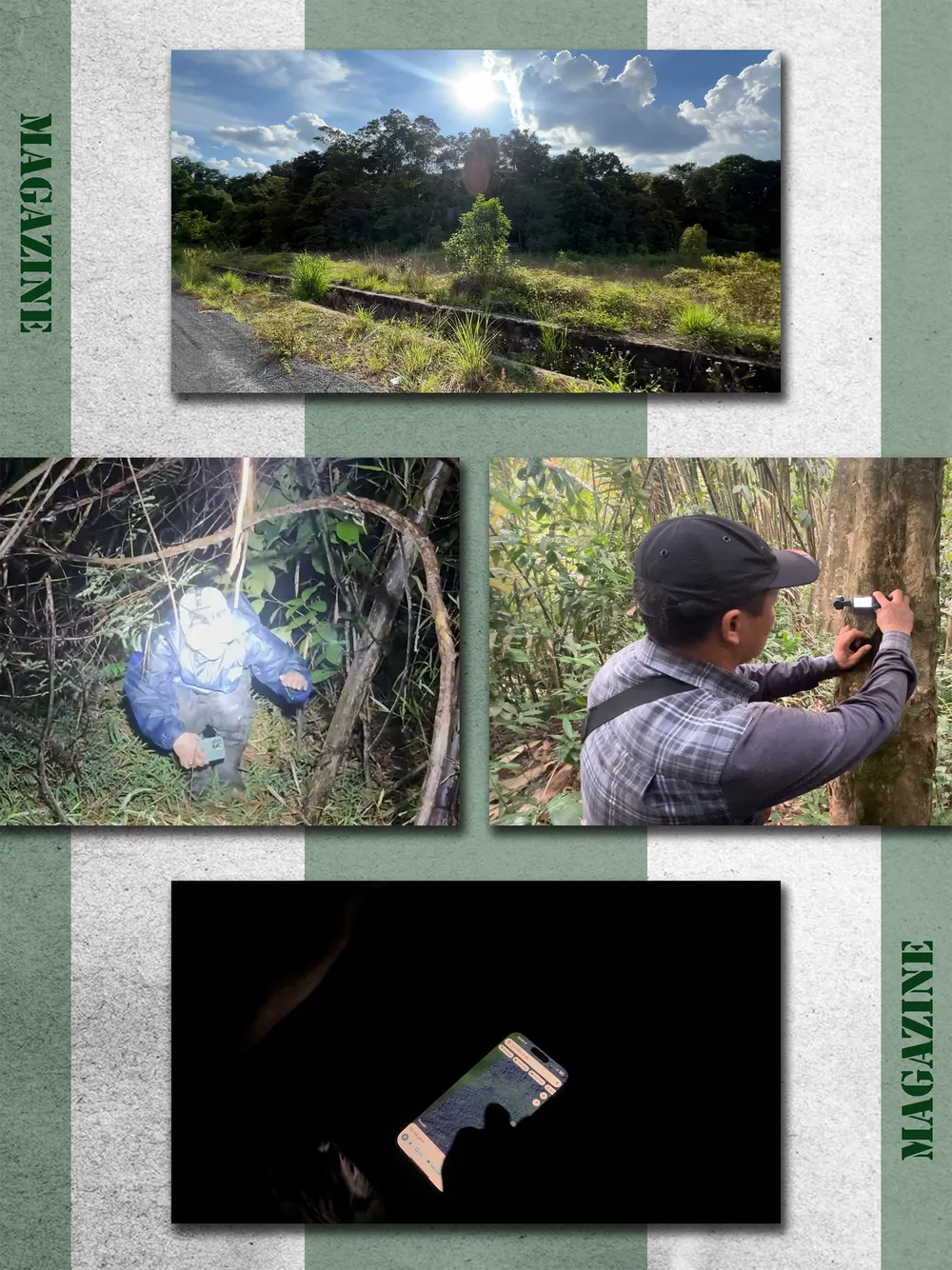 PV đặt nhiều camera giấu kín ở các
khu vực có nhiều quả rừng chín để ghi lại cảnh săn bắt thú rừng
trái phép.