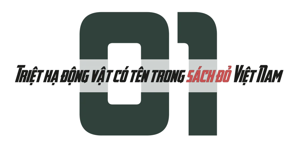 Điều tra: Cận cảnh động vật quý, hiếm ở Vườn quốc gia Cát Tiên bị bắn, bẫy - 1