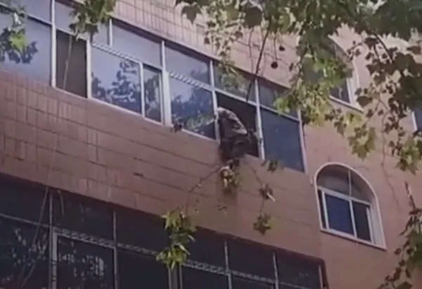 Cụ bà trèo ra khỏi cửa sổ tầng 3. Ảnh: CCTV.