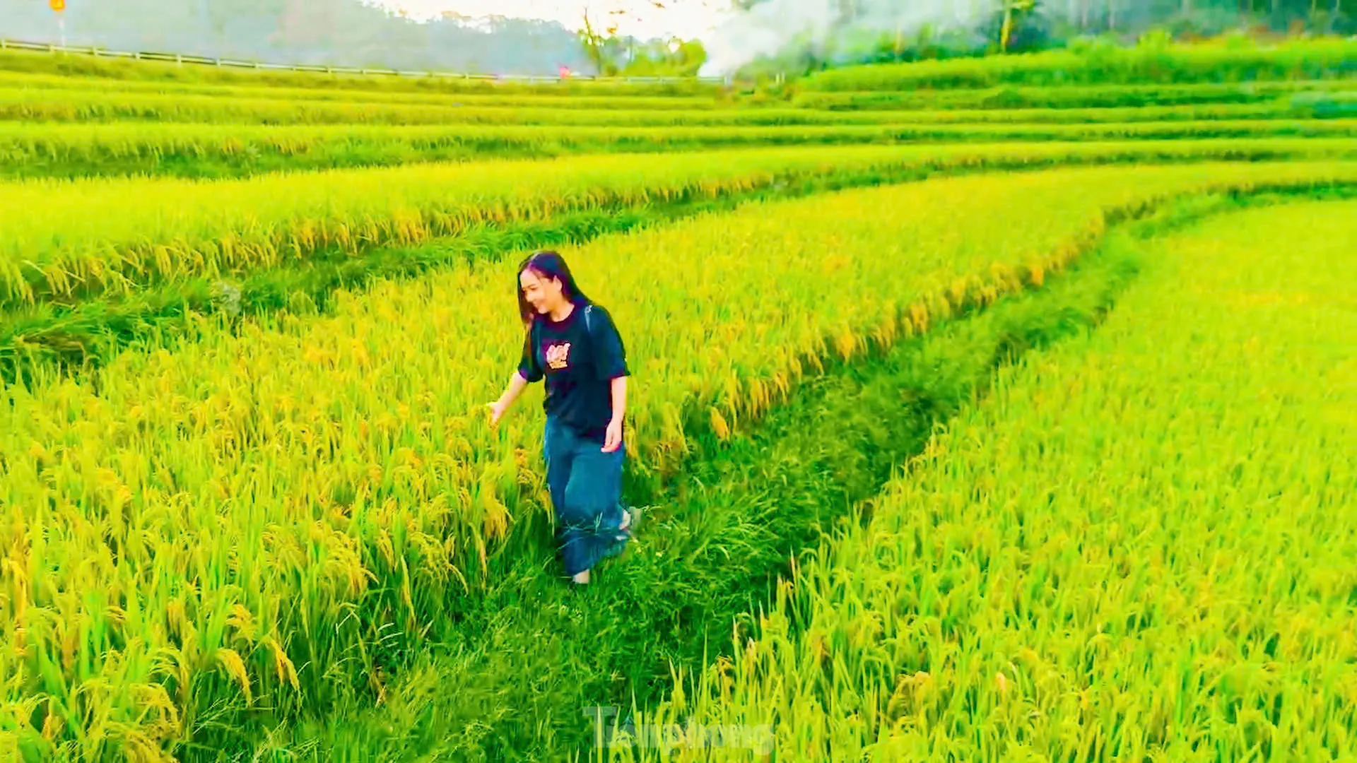 Lạc lối giữa mùa vàng lúa chín ở Pù Luông - 8