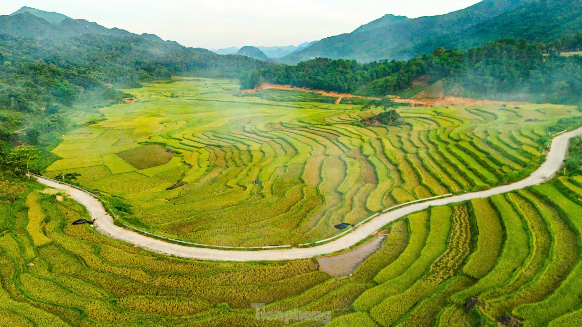 Lạc lối giữa mùa vàng lúa chín ở Pù Luông - 1