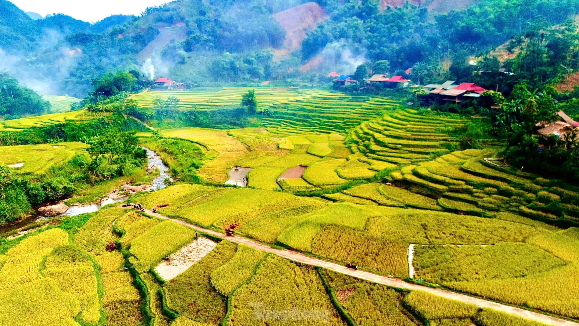 Lạc lối giữa mùa vàng lúa chín ở Pù Luông - 2