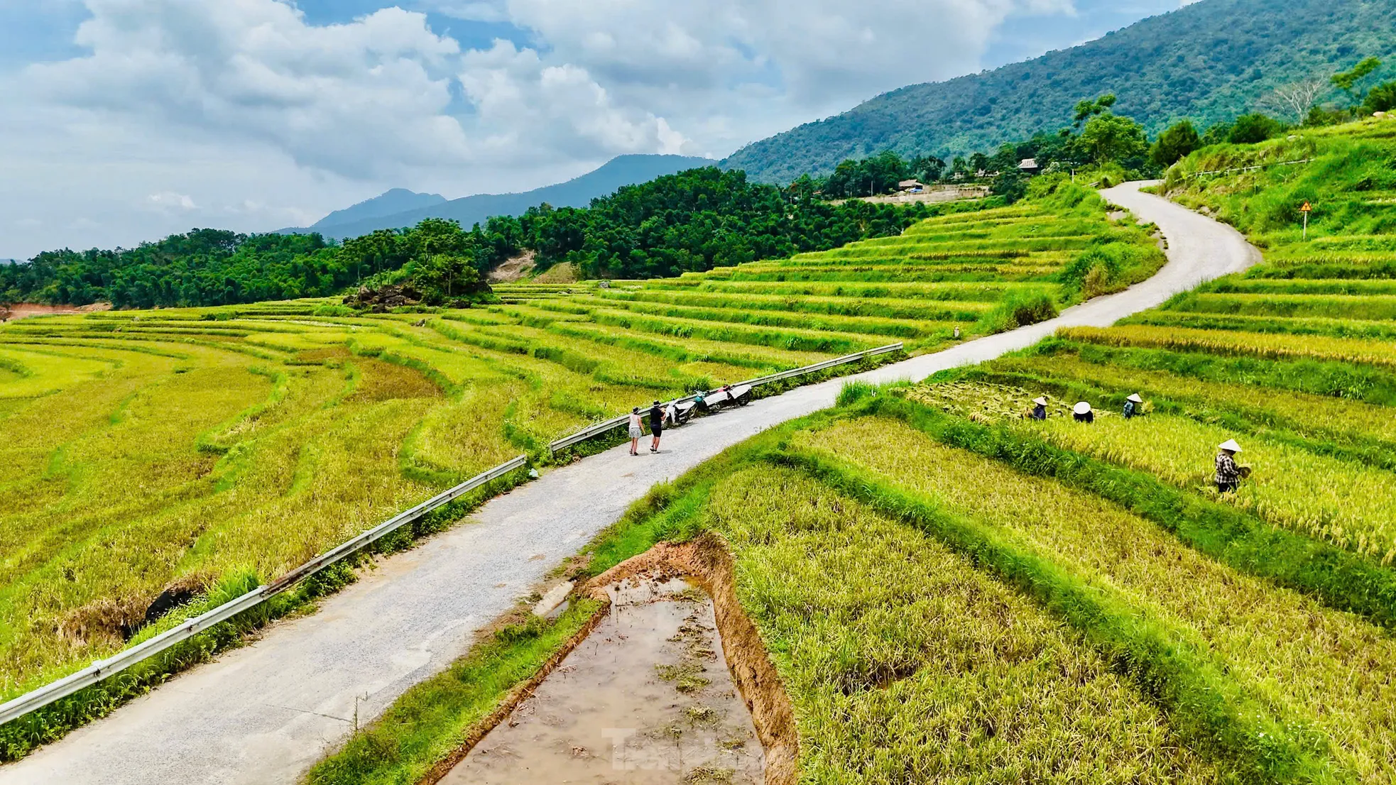 Lạc lối giữa mùa vàng lúa chín ở Pù Luông - 3