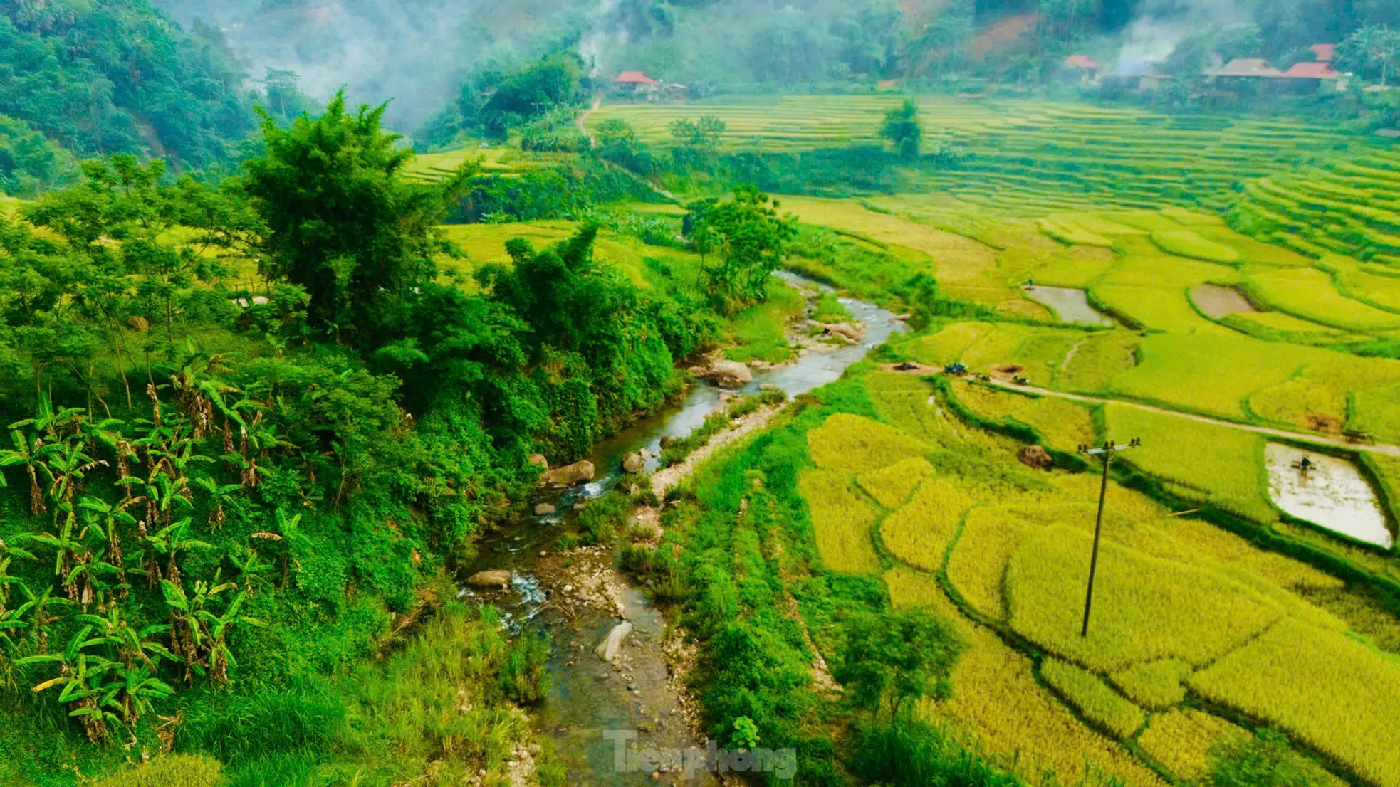 Lạc lối giữa mùa vàng lúa chín ở Pù Luông - 13