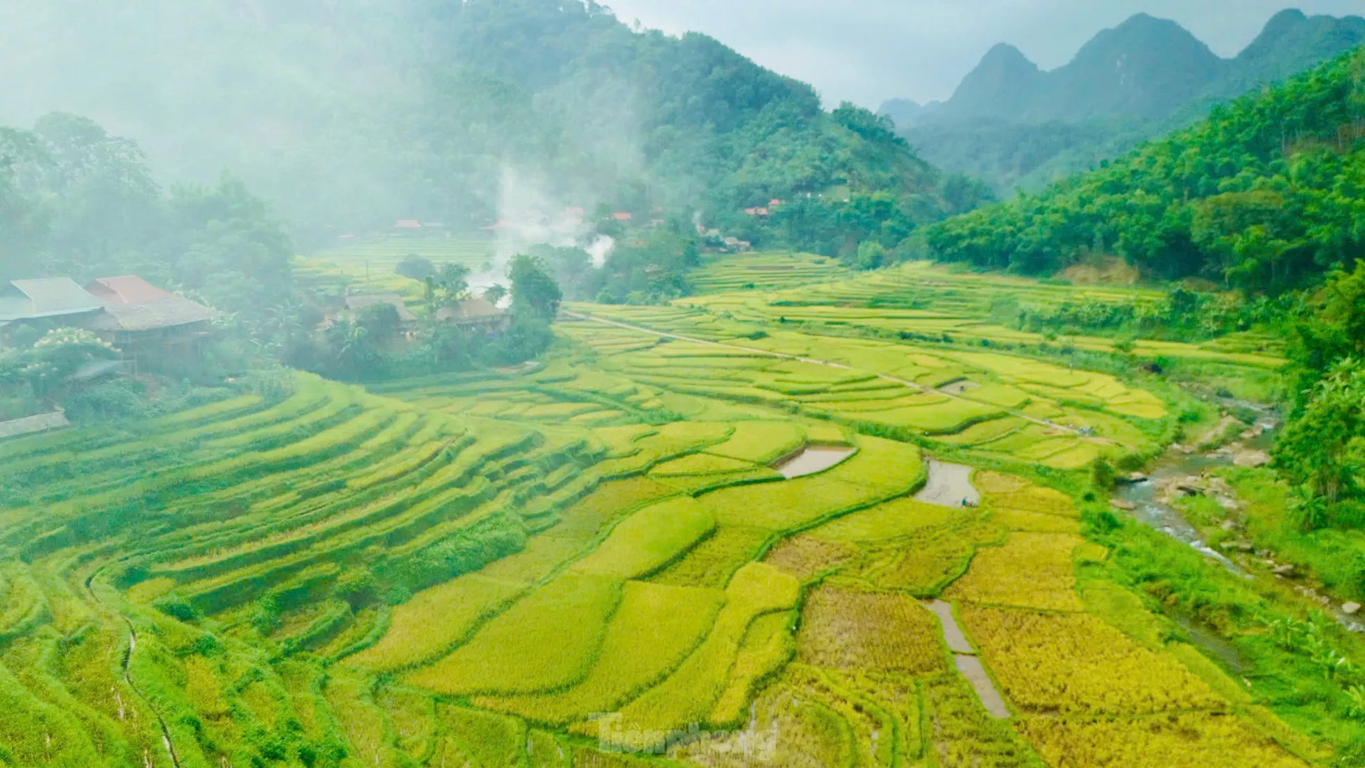 Lạc lối giữa mùa vàng lúa chín ở Pù Luông - 9