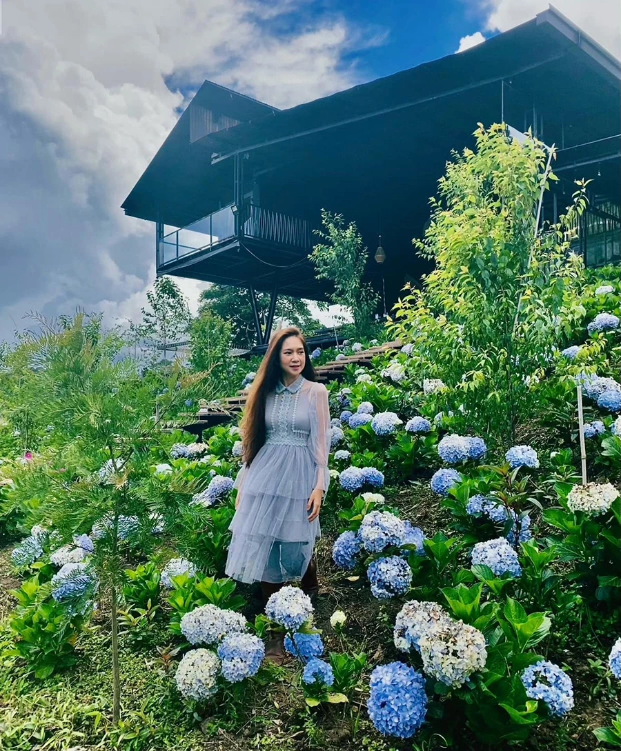 Lý Hải khoe cả vườn ớt đắt nhất thế giới tại trang trại nghìn m2, quý tử 14 tuổi được dạy nhổ cỏ, hái rau - 5