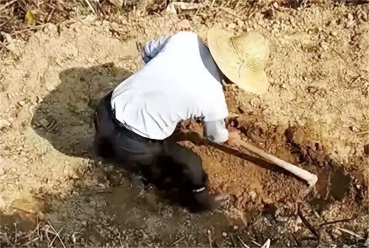 Lão nông đào trúng “rồng lạ”, quyết bán cho bảo tàng với giá “rẻ như rau” - 4