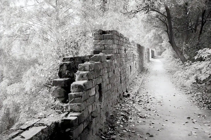 Lão nông đào trúng “rồng lạ”, quyết bán cho bảo tàng với giá “rẻ như rau” - 3