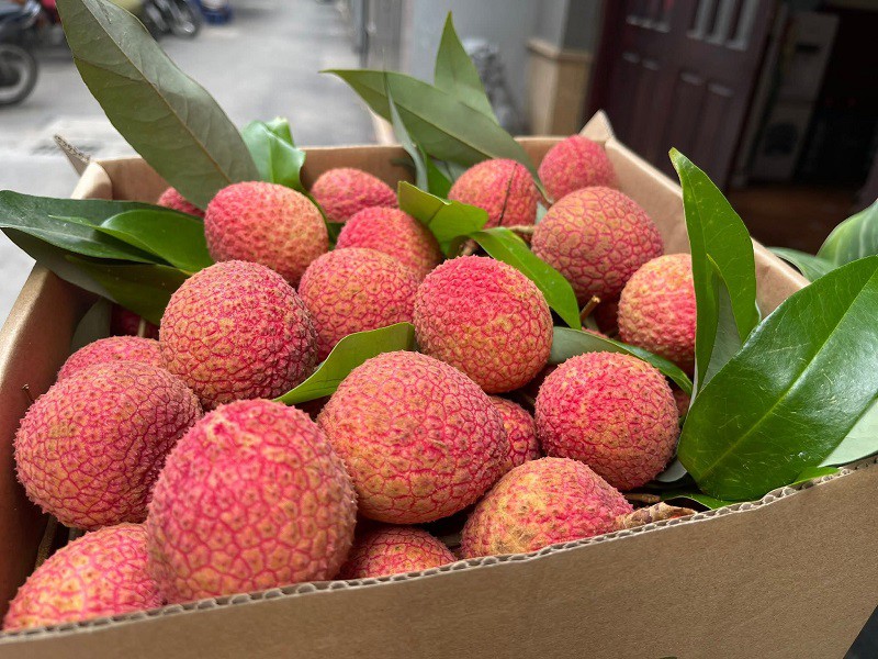 Vải trứng được bán theo thùng, giá hàng triệu đồng/thùng. (Ảnh: Vũ Thảo)