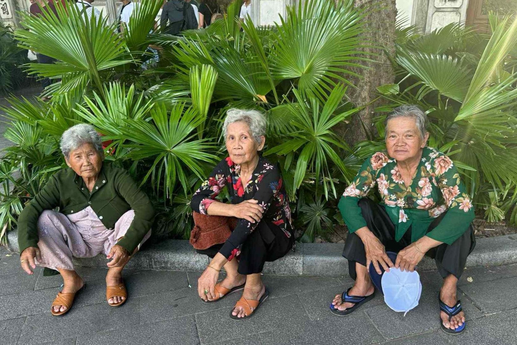 3 bà bạn thân U80 dẫn nhau du lịch khắp nơi, kể kỷ niệm &#39;tím tái&#39; leo Fansipan - 2
