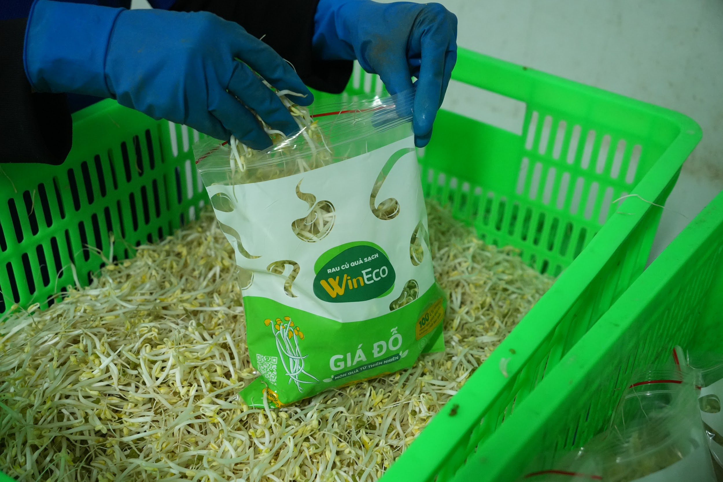 Giá đỗ WinEco đạt nhiều tiêu chuẩn và chứng nhận an toàn
