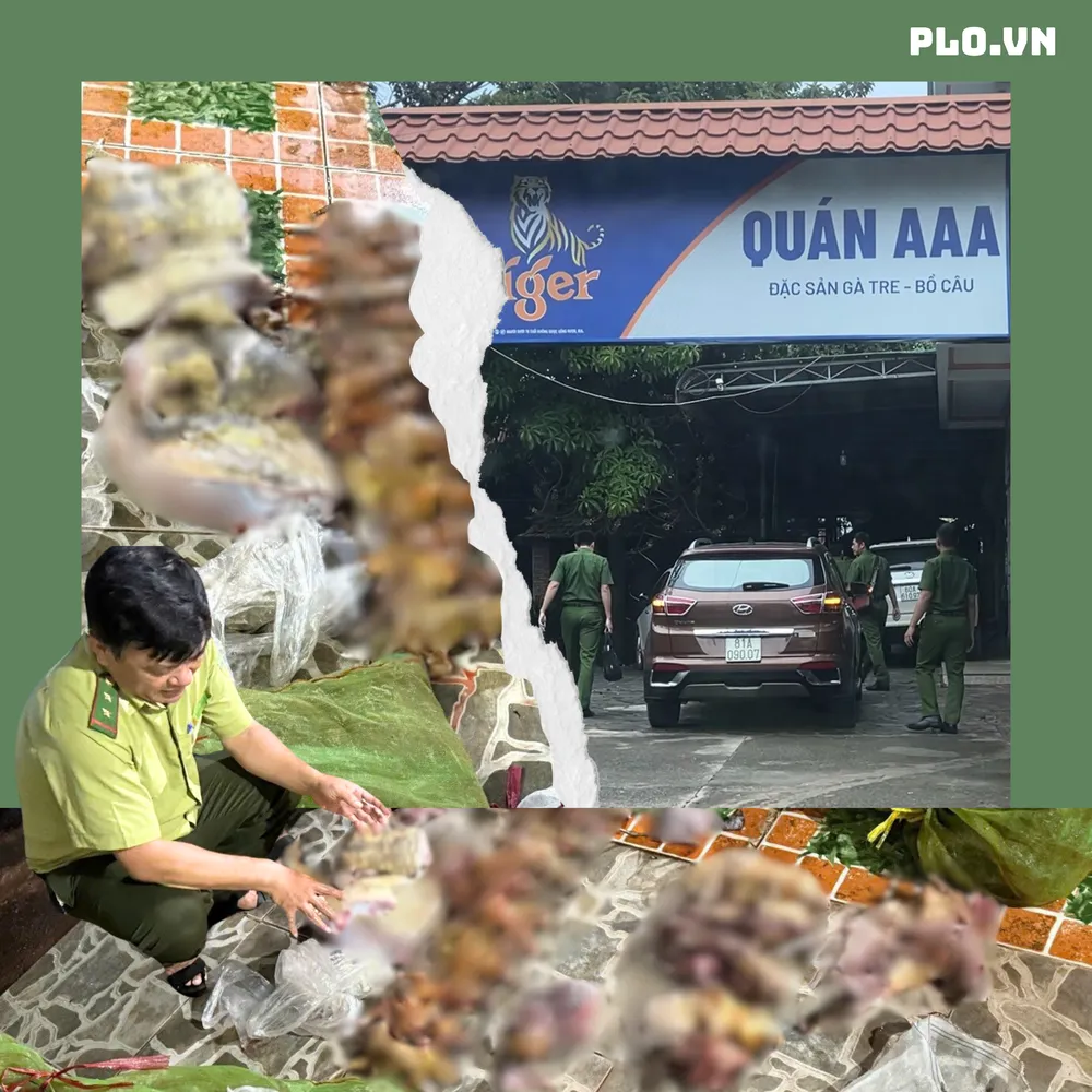 Nhà hàng ở thị trấn Vĩnh An, huyện Vĩnh Cửu, Đồng Nai, từng bị các cơ quan chức năng kiểm tra, xử phạt về hành vi mua bán động vật hoang dã. Tại thời điểm nhóm PV tiếp cận, nhà hàng này đổi tên thành AAA nhưng vẫn giữ bảng tên cũ 9999 đi kèm.