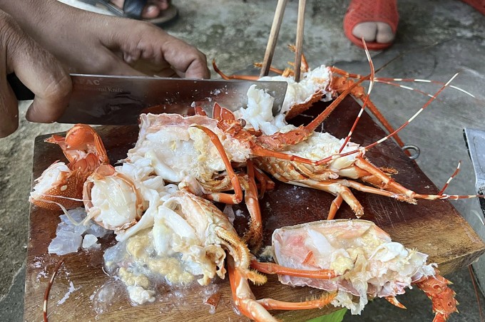 Tôm hùm chết được bơm thạch rau câu để thành đồ tươi.&nbsp;