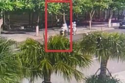 Bị giật túi xách khi đang ngồi trên ô tô đang chạy