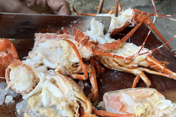 Bơm thạch rau câu 'biến' tôm hùm chết thành tươi, người nội trợ làm cách nào nhận biết đúng tôm hùm tươi?