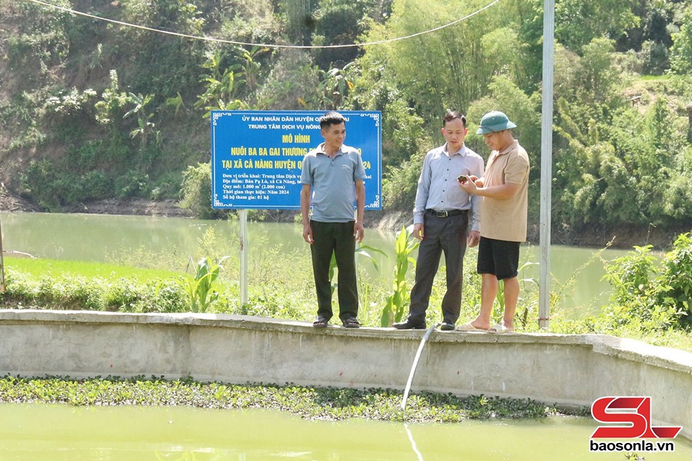 Mô hình nuôi ba ba gai tại xã Cà Nàng, huyện Quỳnh Nhai.