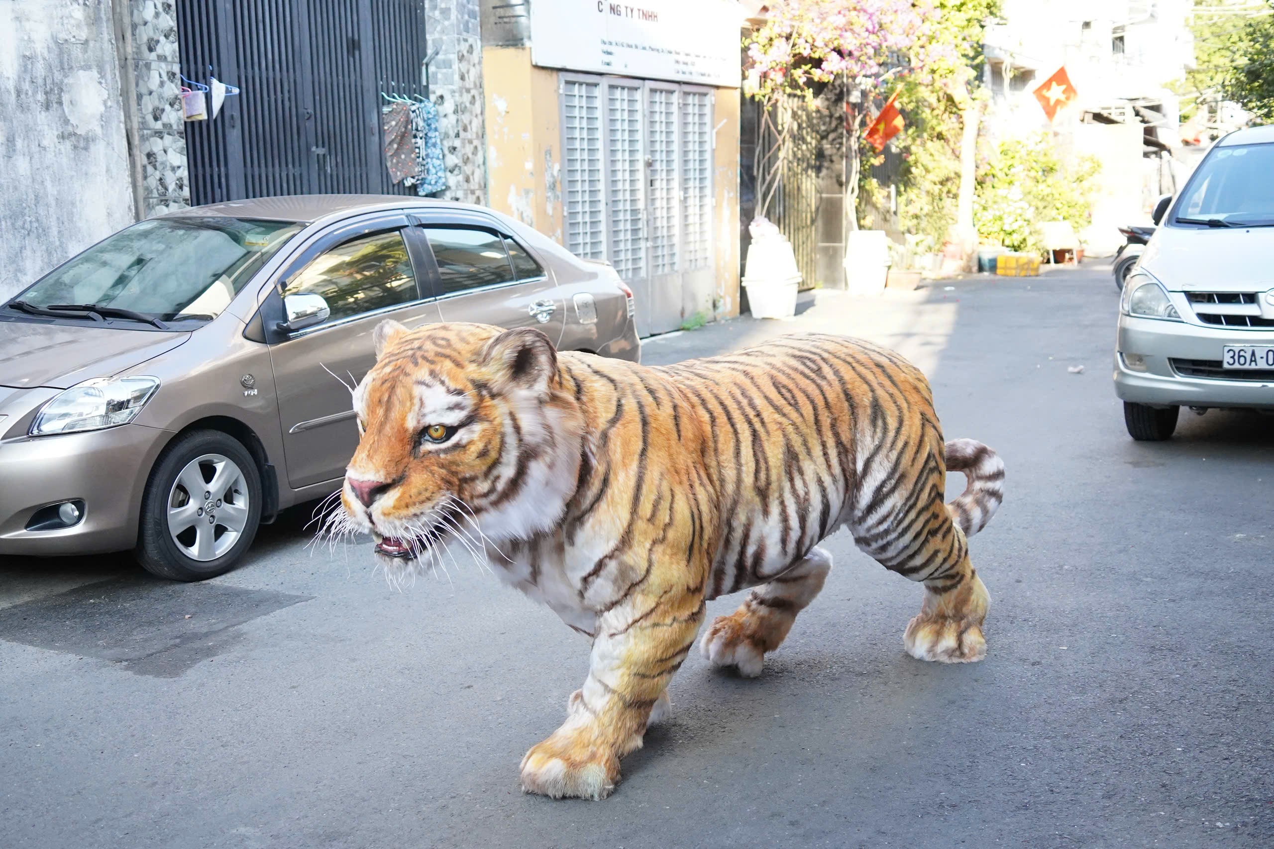Thời gian gần đây, hình ảnh một con hổ đứng “sừng sững” tại một con phố tại quận Bình Thạnh (TP. Hồ Chí Minh) được chia sẻ rầm rộ trên khắp các nền tảng mạng xã hội.