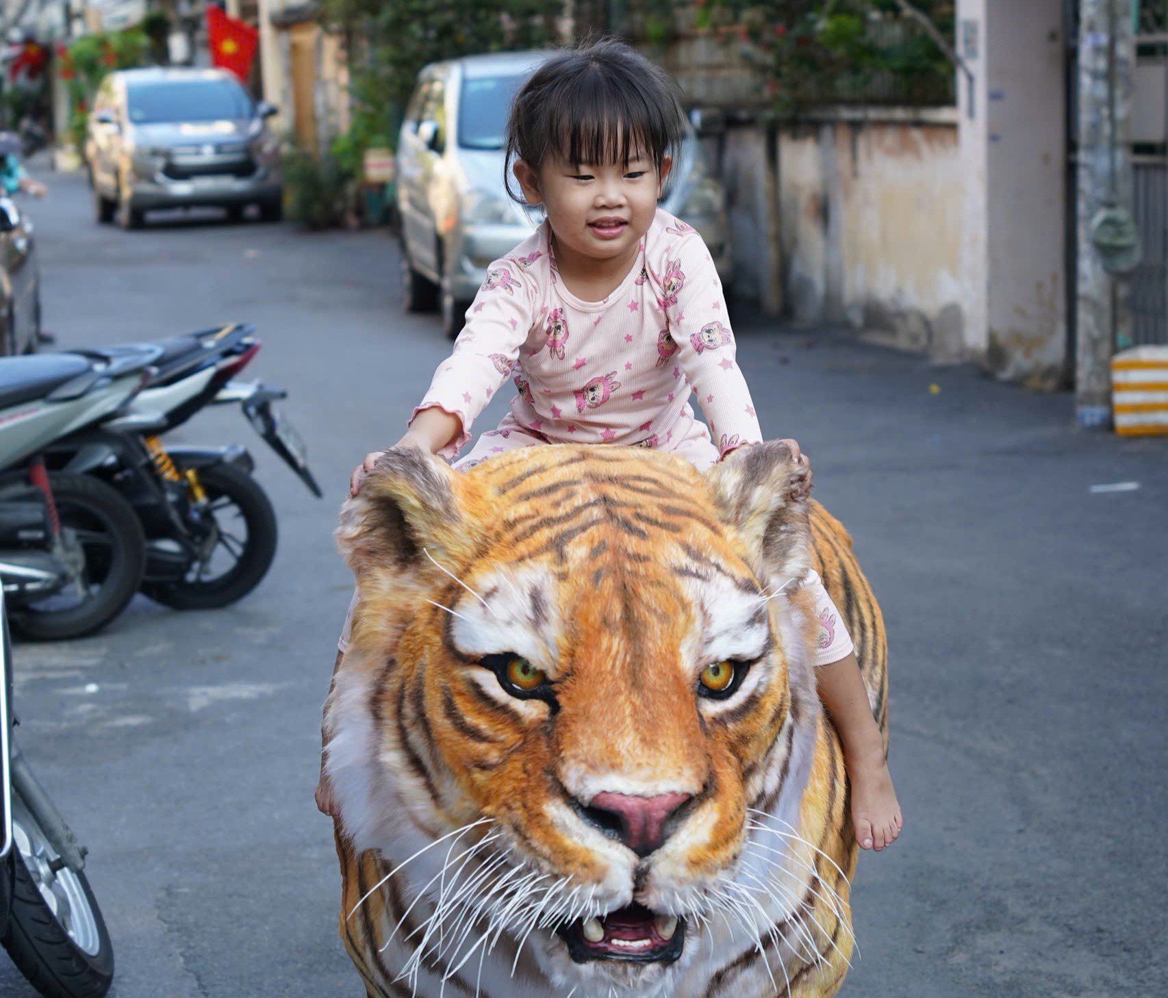Một số người cũng ngỏ ý muốn mua lại con hổ này nhưng anh Dự cho biết, có trả cả trăm triệu đồng thì anh vẫn không bán. Bởi vì đây là mô hình đầu tay anh làm thử nghiệm, chỉ để trưng bày tại nhà làm kỷ niệm, không làm với mục đích thương mại.
