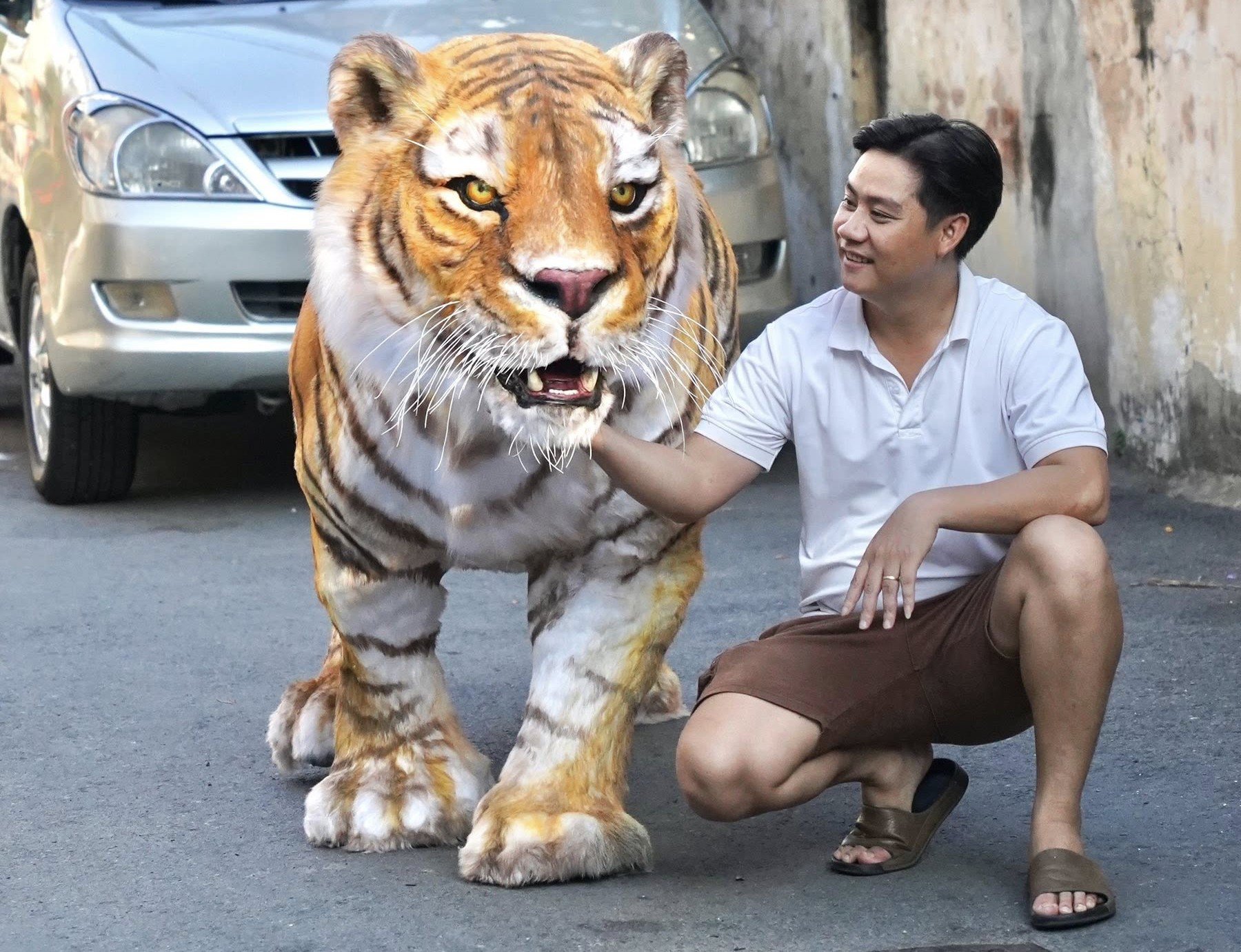 Anh Võ Đức Dự (SN 1995), chủ nhân của con hổ này cho biết, đây là mô hình một con hổ Bengal được anh làm và hoàn thành cách đây không lâu.