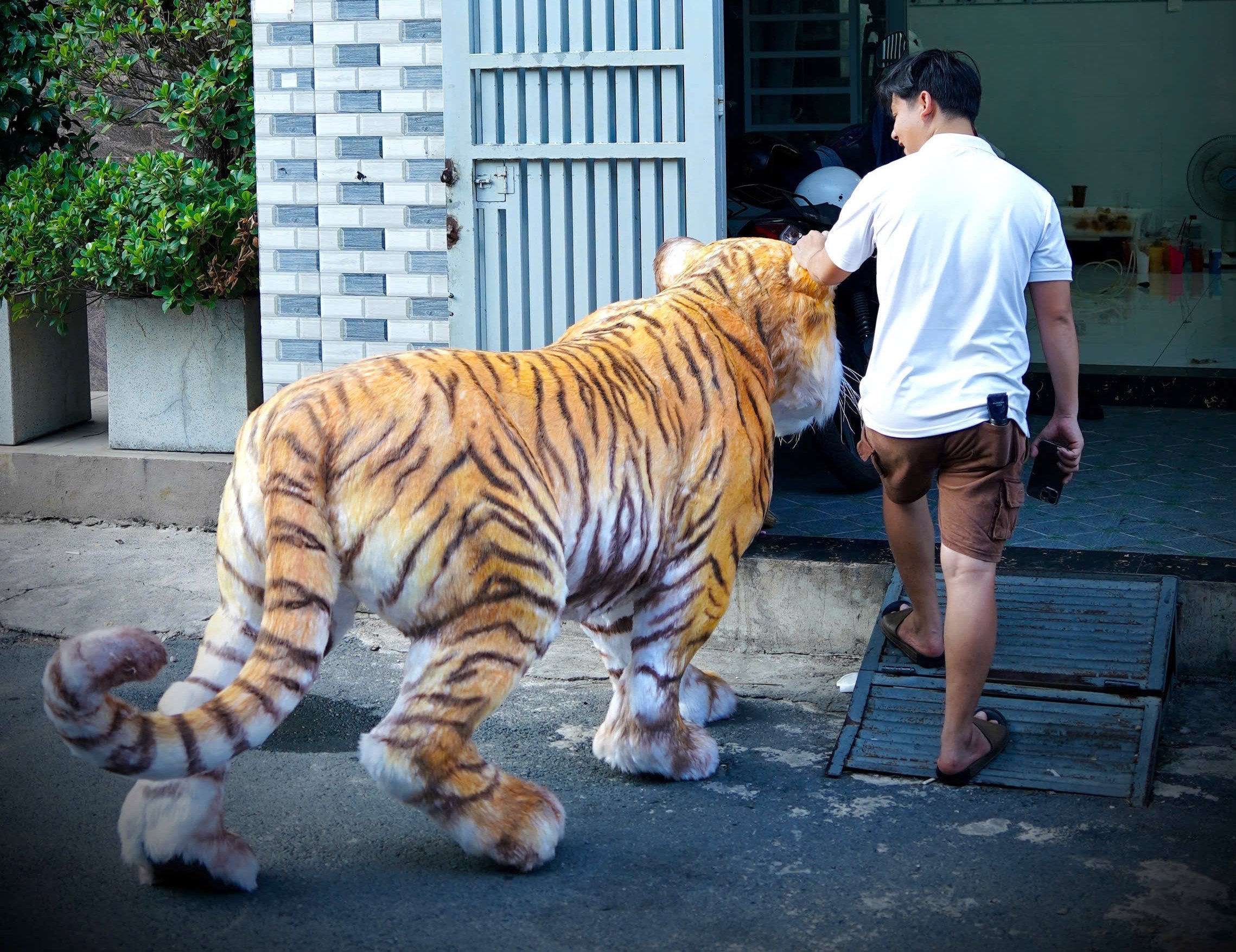 “Để tìm được loại lông phù hợp, tôi đã tốn rất nhiều thời gian. Khi gắn lông cũng phải thật tỉ mỉ và chính xác để không bị lộ lớp xi măng ở trong, cũng không được để quá dày khiến con hổ mất đi cảm giác thật”, anh Dự phân tích.