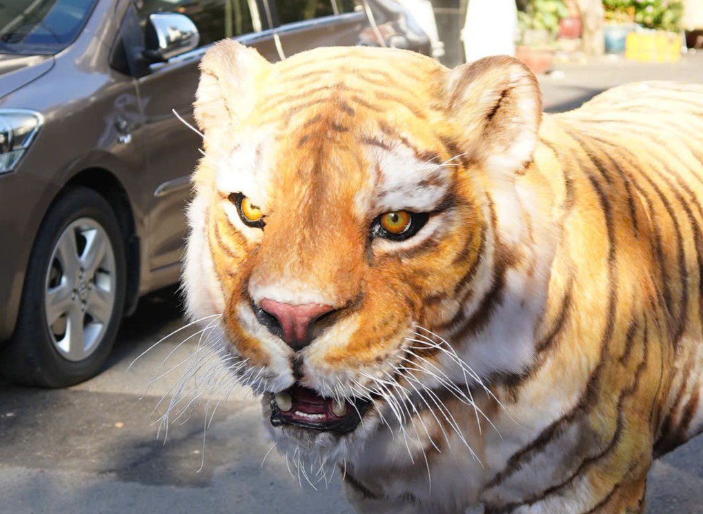 Từ một nghệ sĩ vẽ tranh 3D trên tường, lần đầu anh Dự thử sức làm tượng và gắn lông, lên màu, không ai chỉ dạy nên phải làm đi làm lại rất nhiều lần mới hoàn thiện.