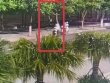 Bị giật túi xách khi đang ngồi trên ô tô đang chạy